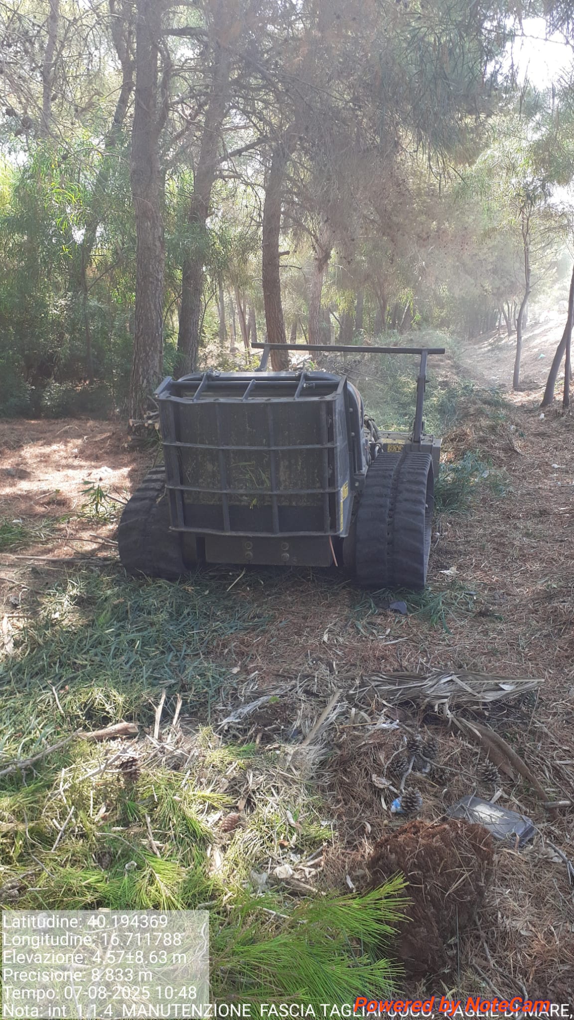 Galleria Fotografica Immagine