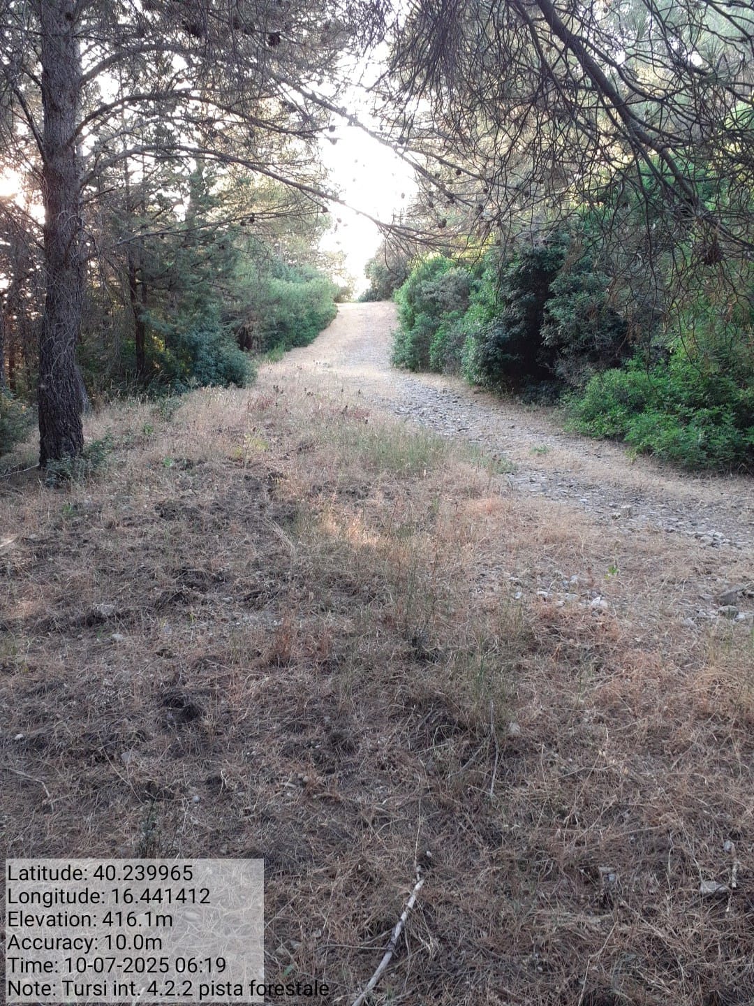 Galleria Fotografica Immagine