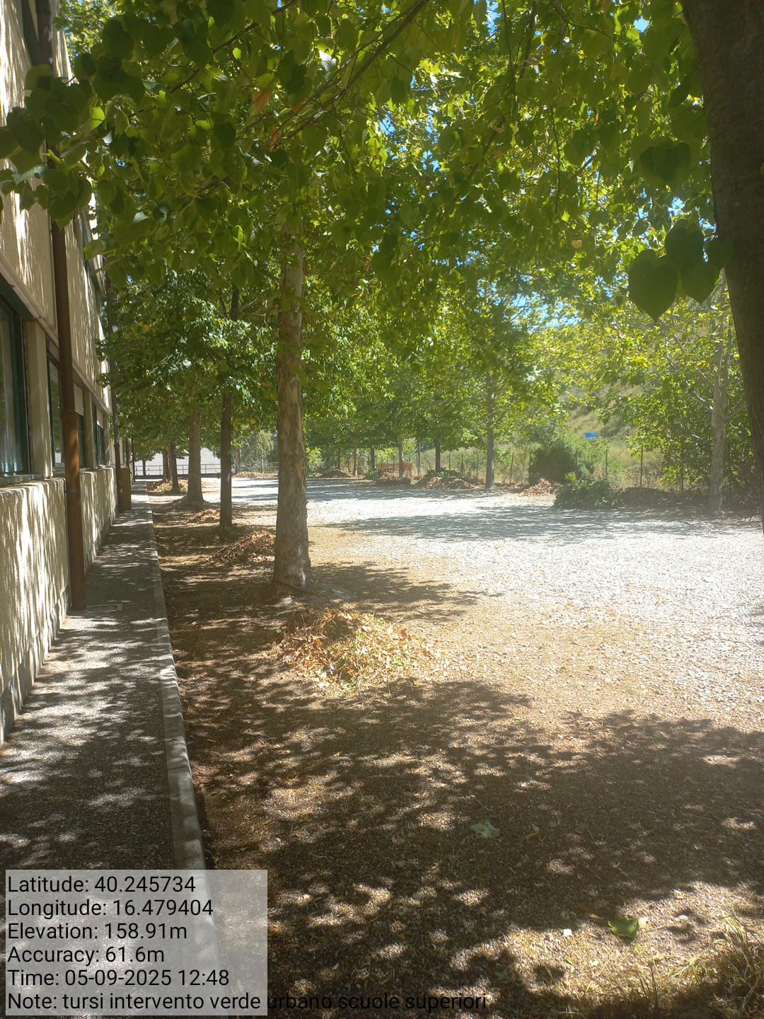 Galleria Fotografica Immagine