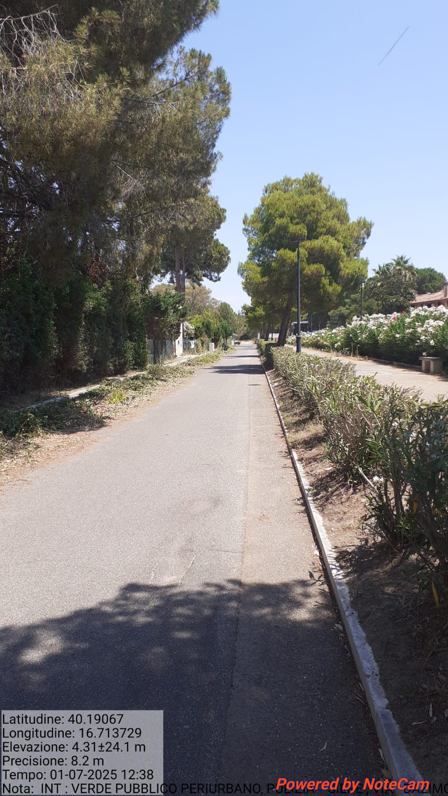 Galleria Fotografica Immagine