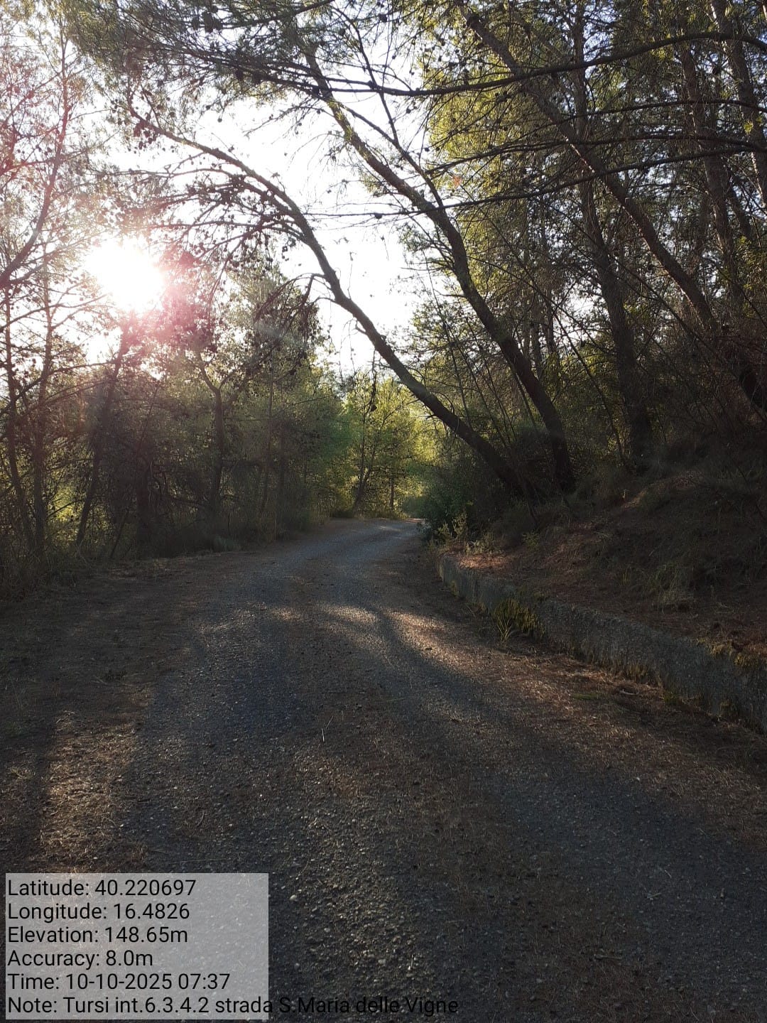 Galleria Fotografica Immagine