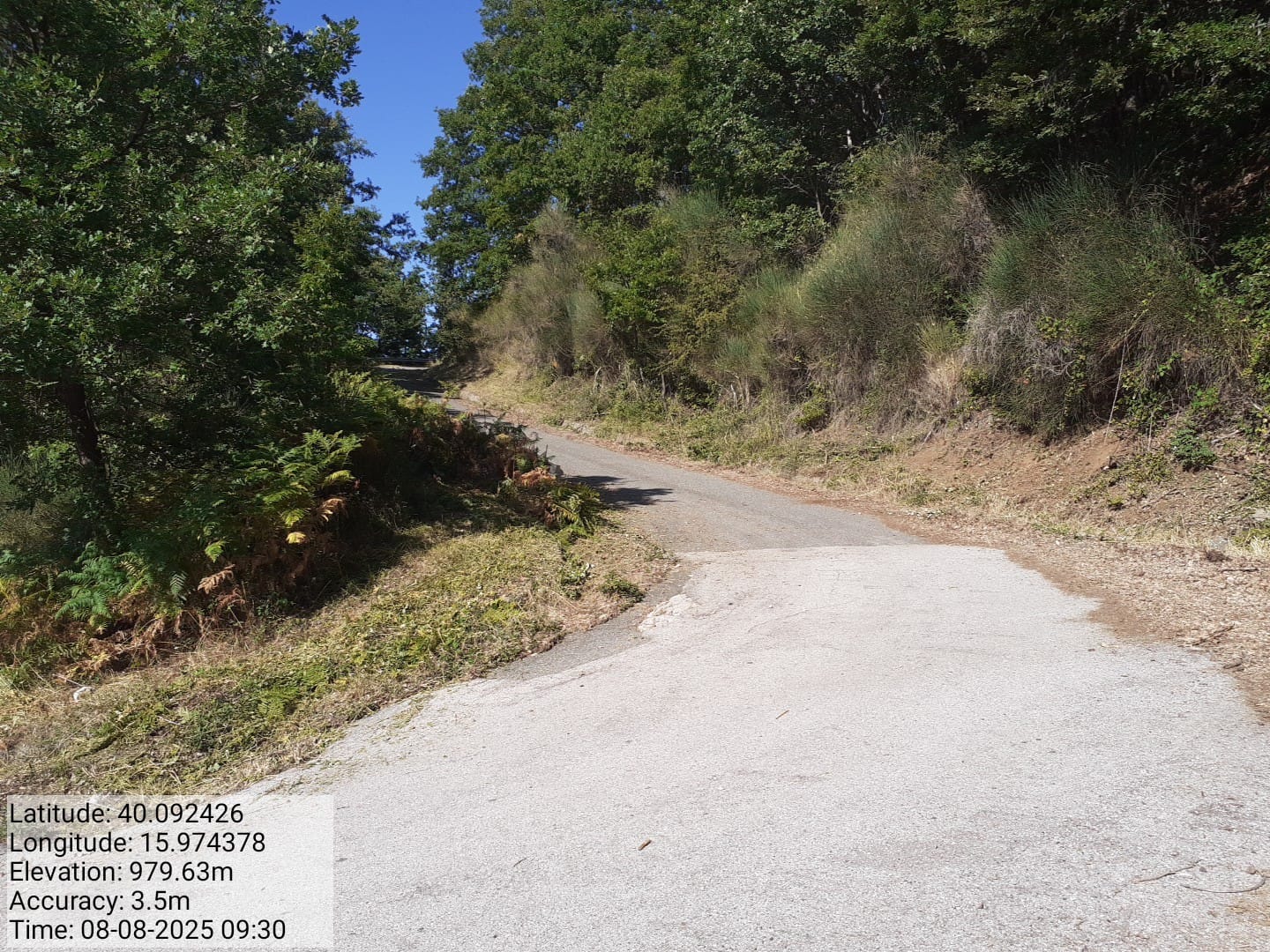 Galleria Fotografica Immagine