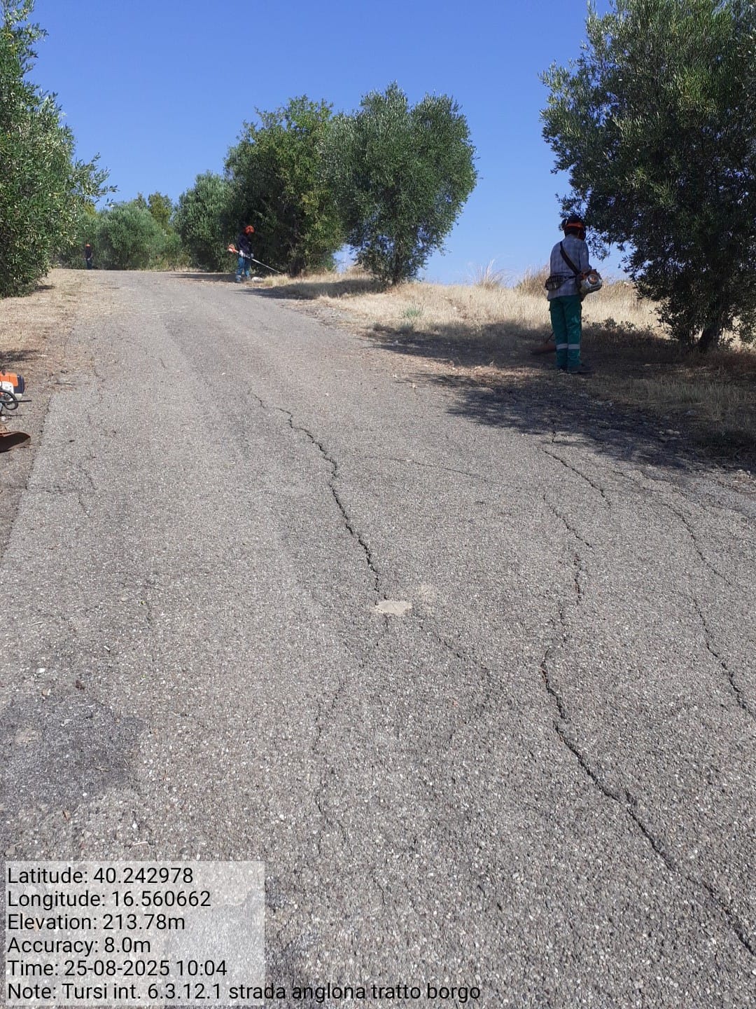 Galleria Fotografica Immagine