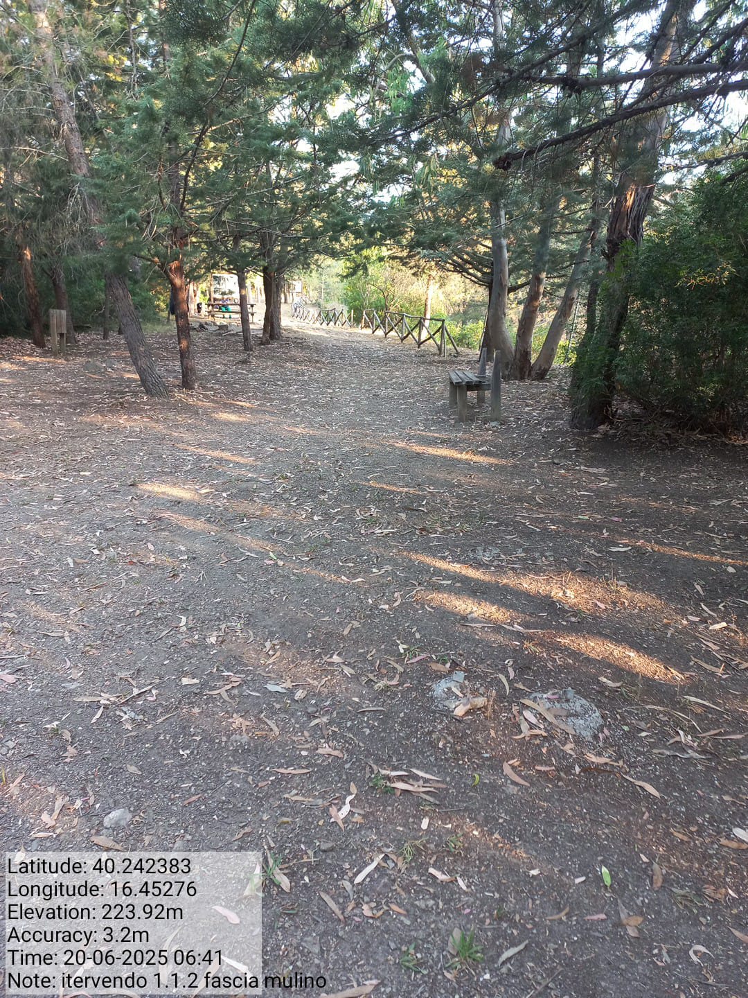 Galleria Fotografica Immagine