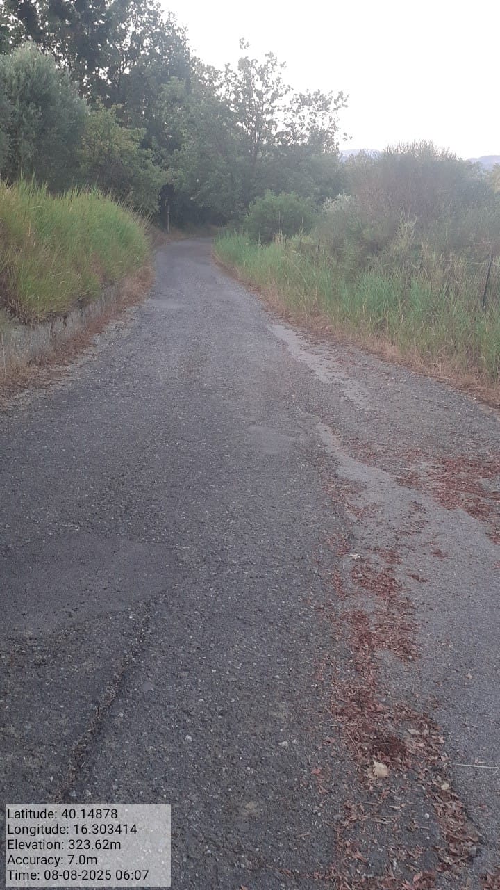 Galleria Fotografica Immagine