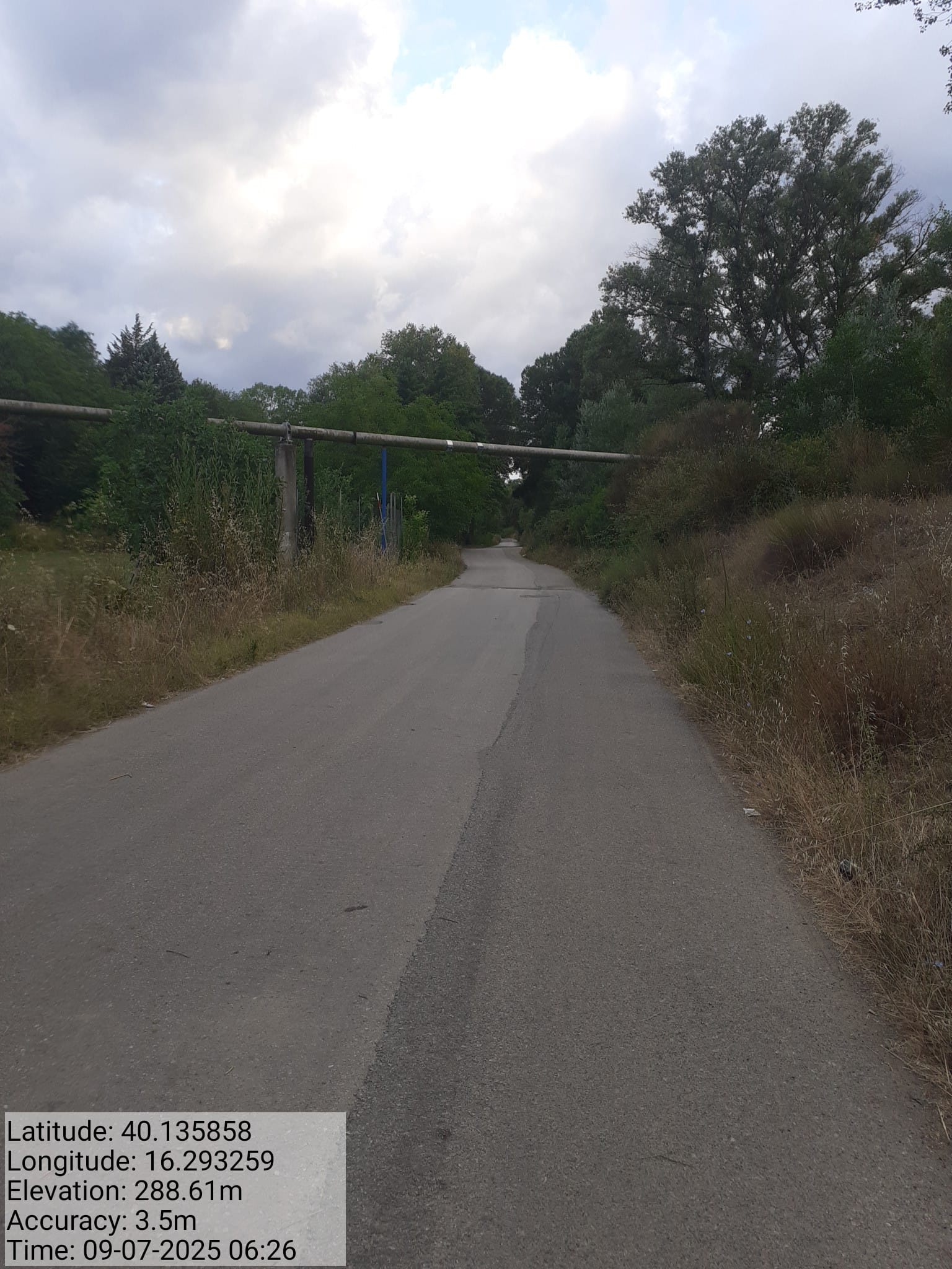 Galleria Fotografica Immagine