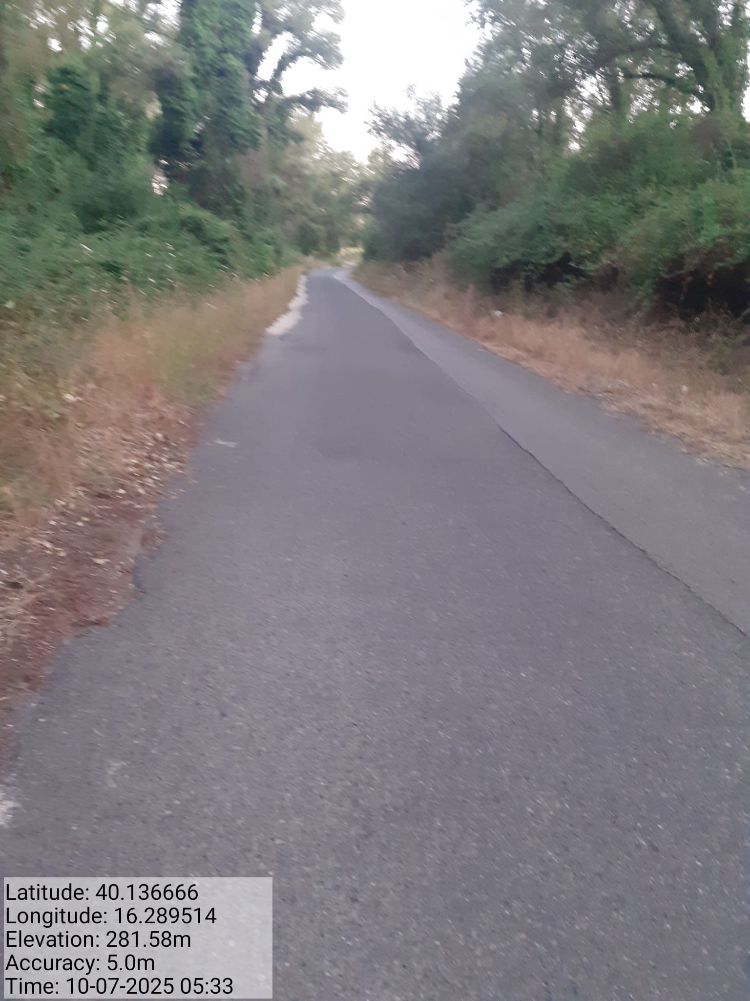 Galleria Fotografica Immagine