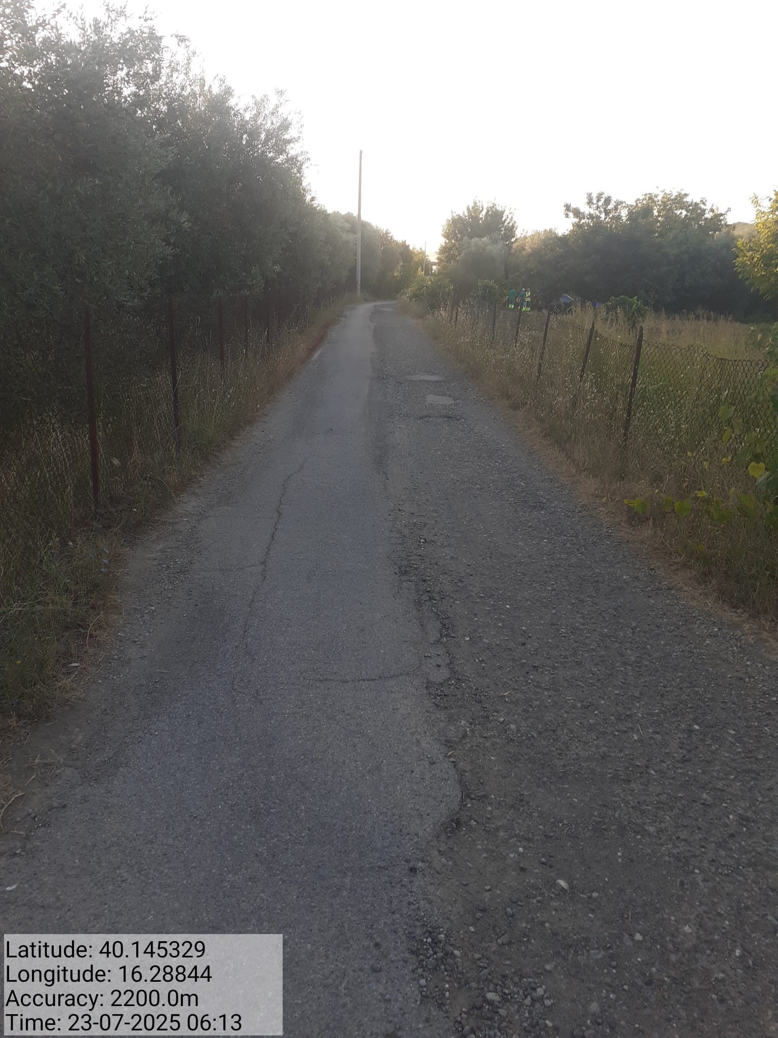 Galleria Fotografica Immagine