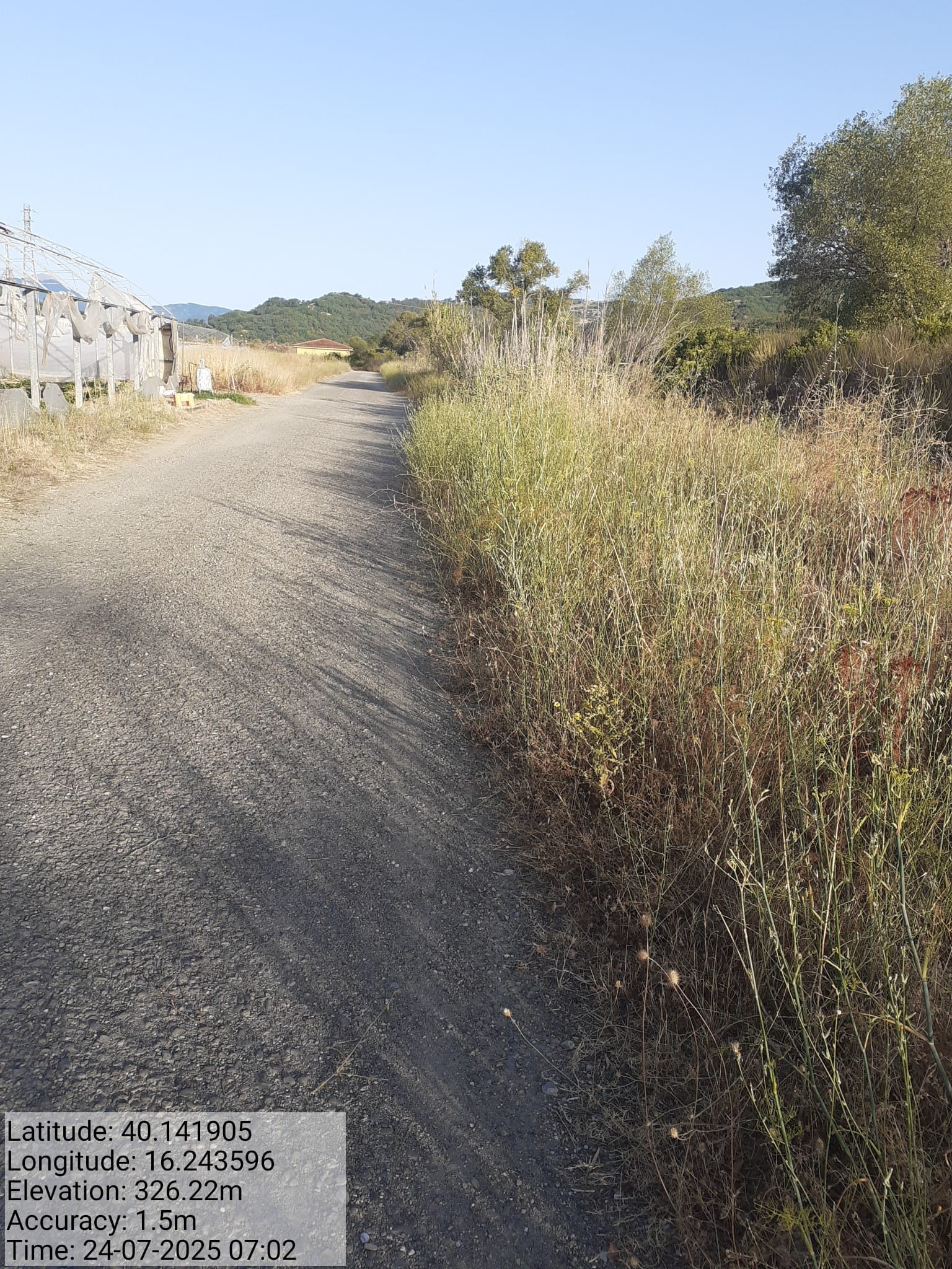 Galleria Fotografica Immagine