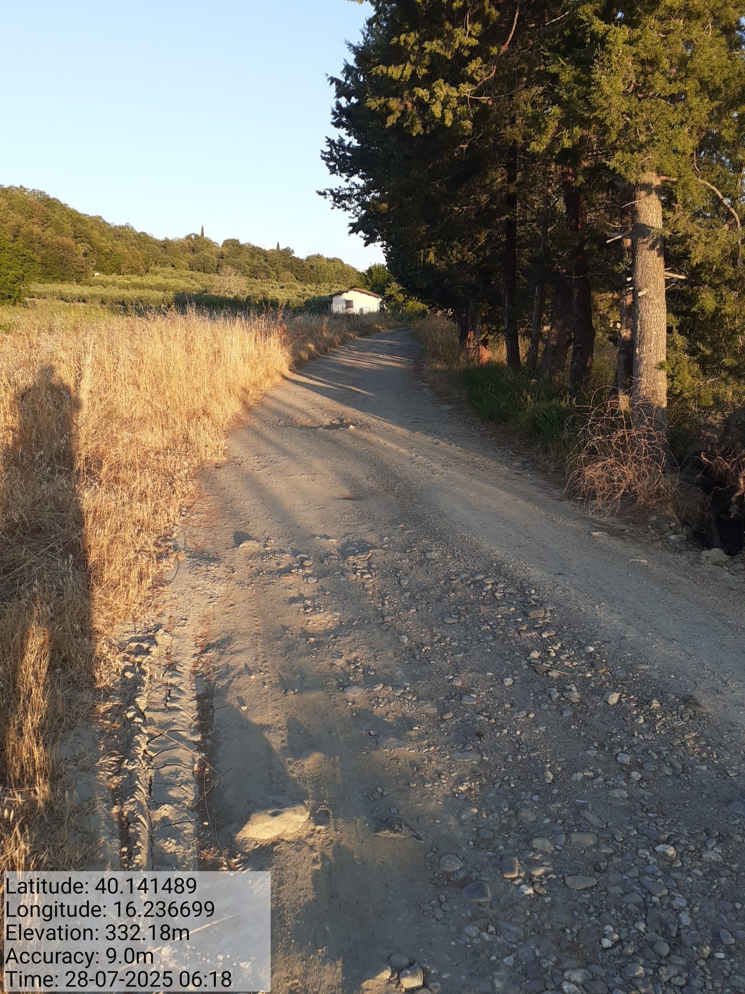 Galleria Fotografica Immagine