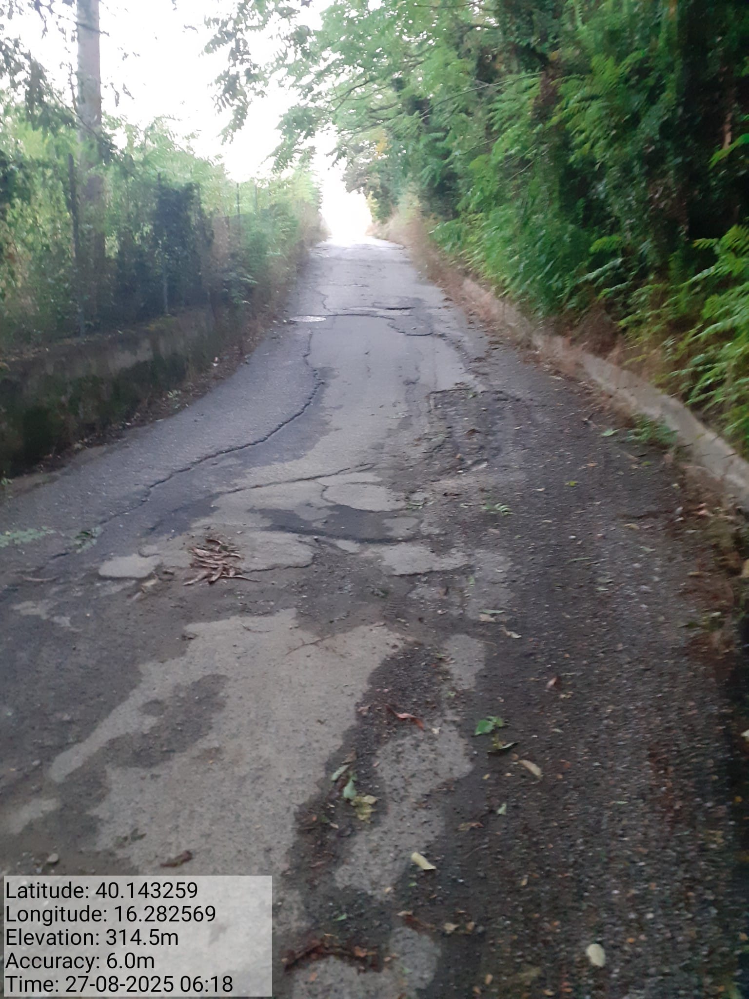 Galleria Fotografica Immagine