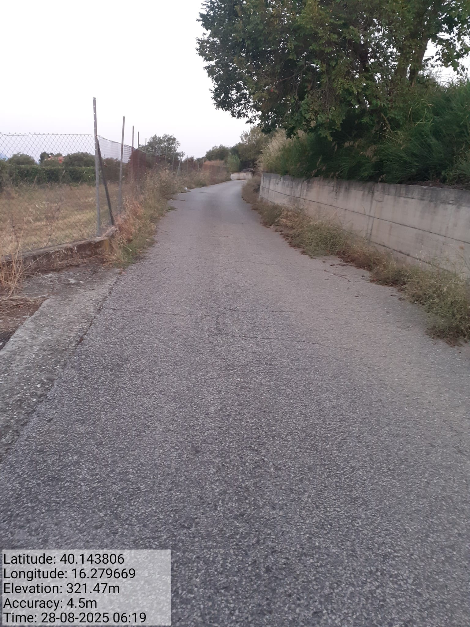 Galleria Fotografica Immagine