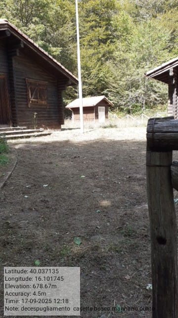 Galleria Fotografica Immagine