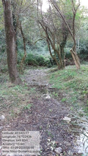 Galleria Fotografica Immagine