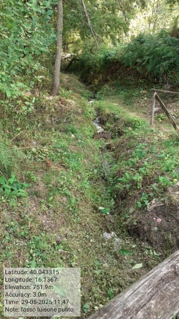 Galleria Fotografica Immagine