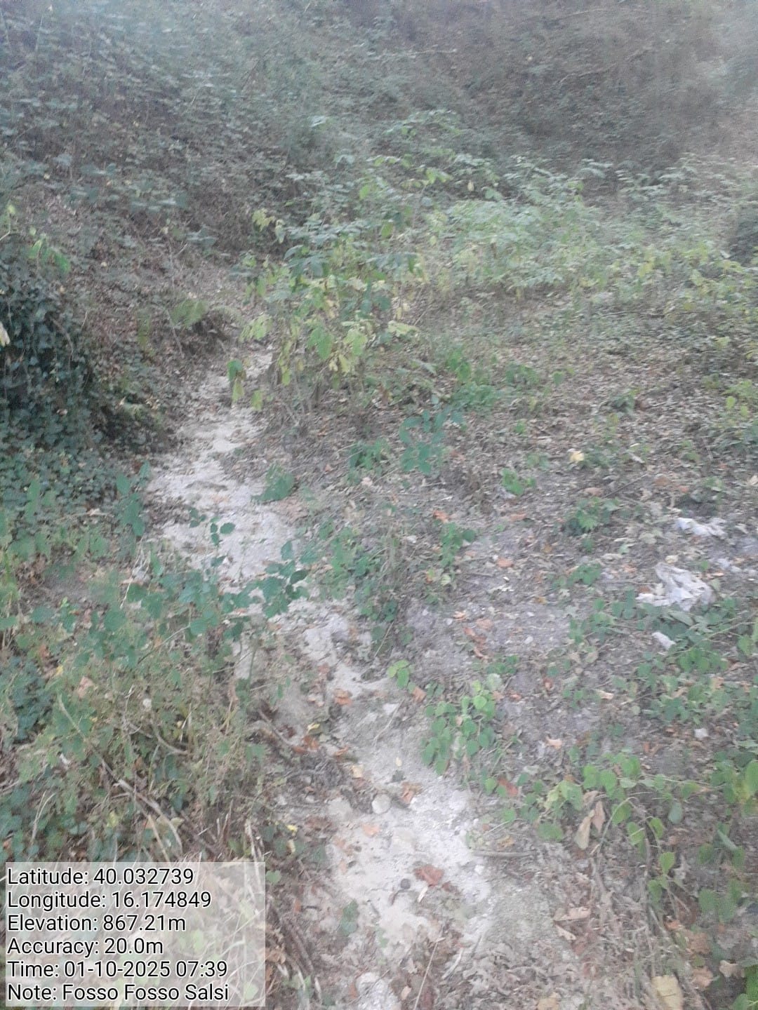 Galleria Fotografica Immagine