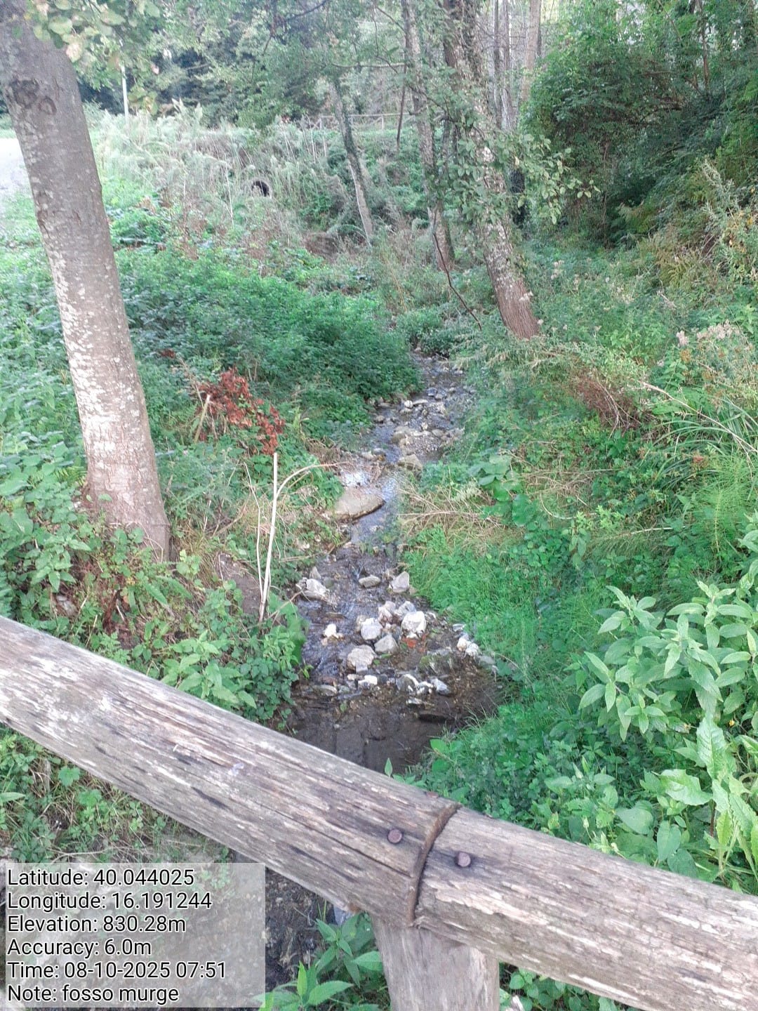 Galleria Fotografica Immagine