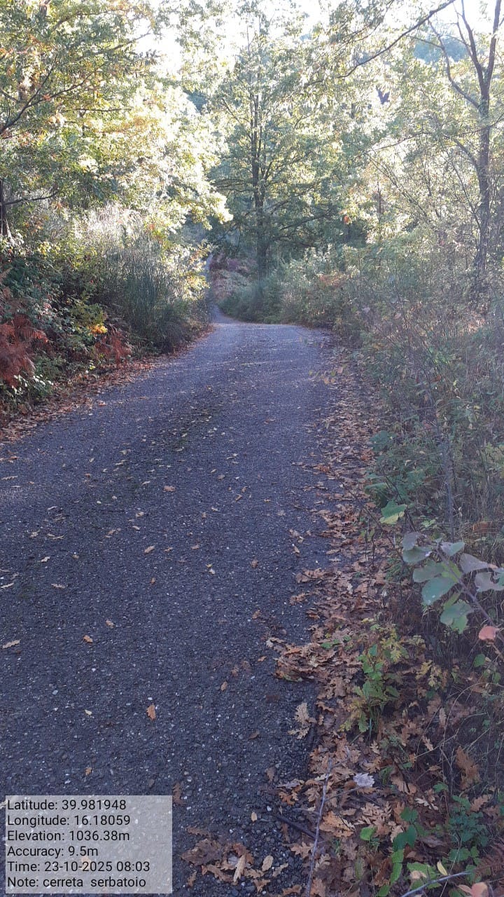 Galleria Fotografica Immagine