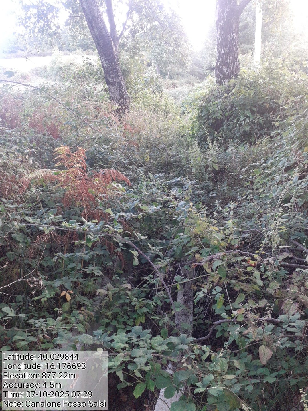 Galleria Fotografica Immagine