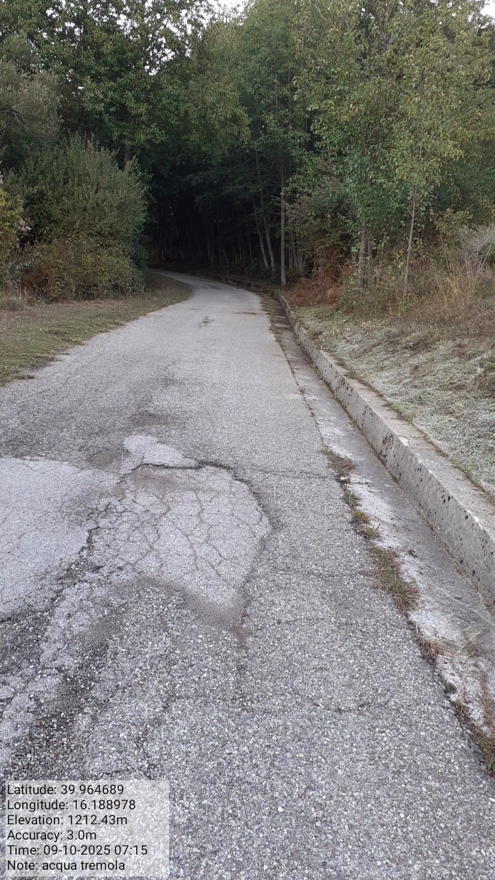 Galleria Fotografica Immagine