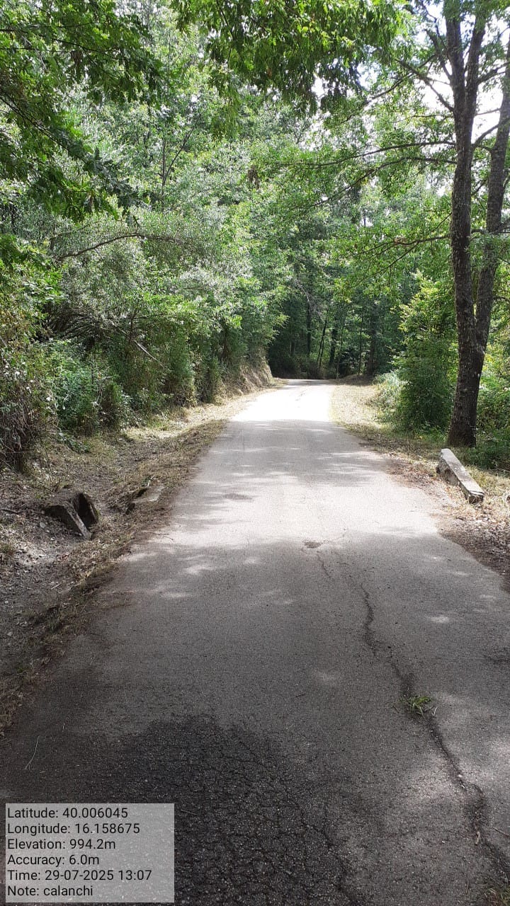 Galleria Fotografica Immagine