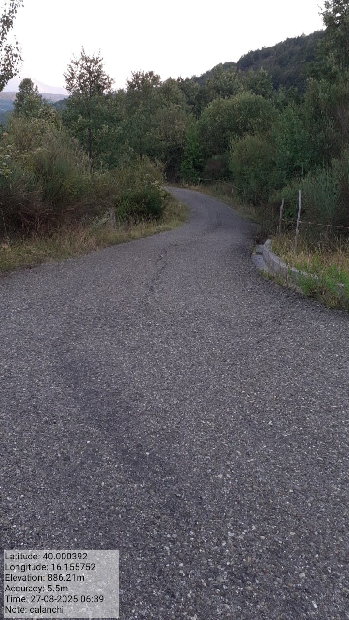 Galleria Fotografica Immagine