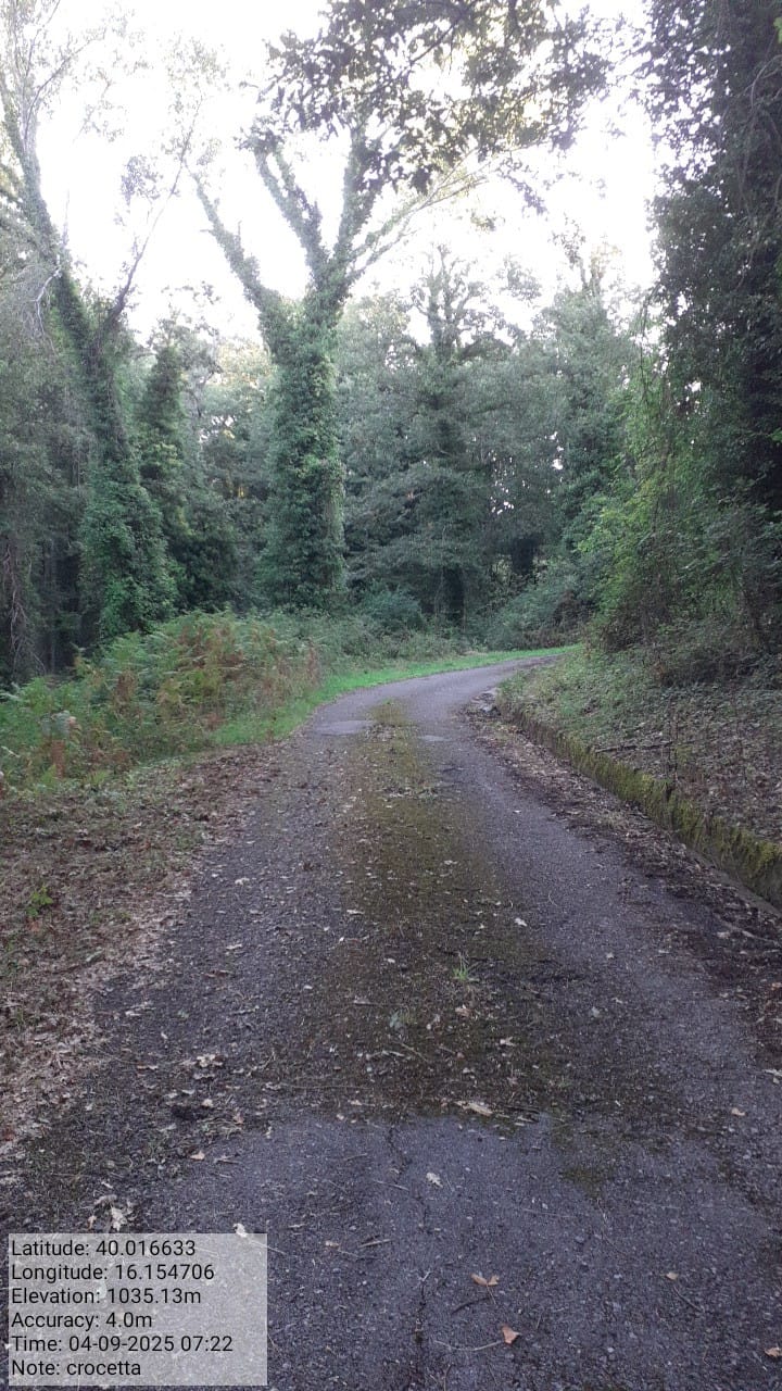 Galleria Fotografica Immagine