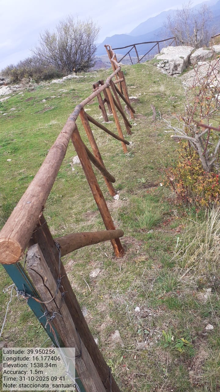 Galleria Fotografica Immagine