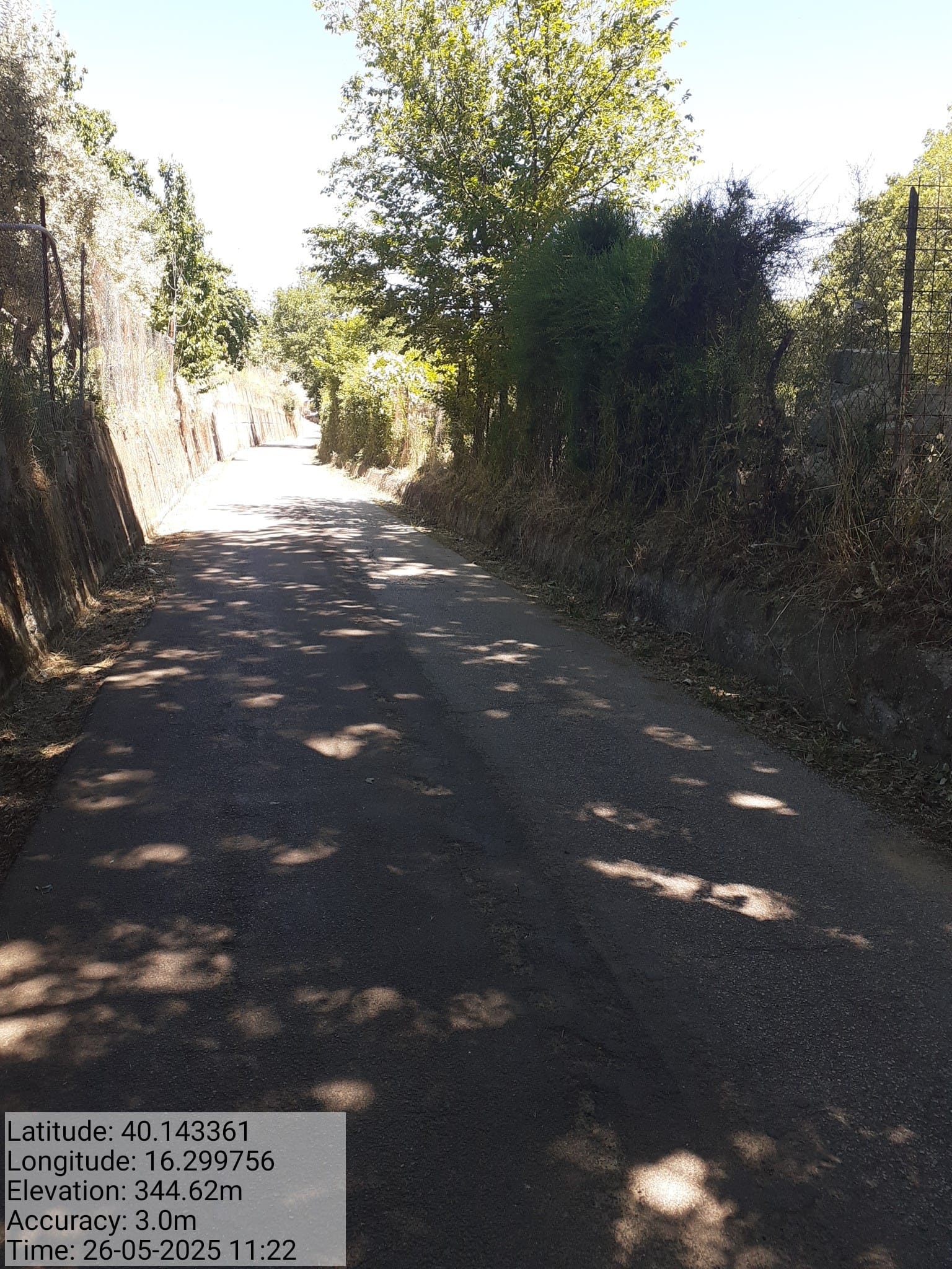 Galleria Fotografica Immagine