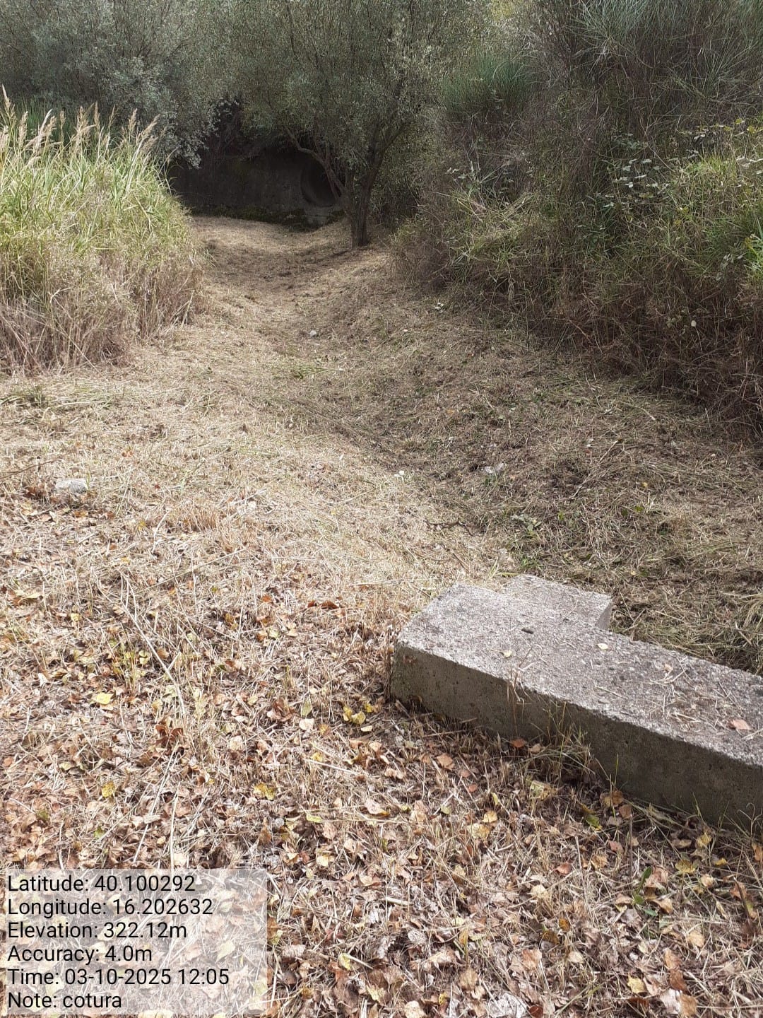 Galleria Fotografica Immagine