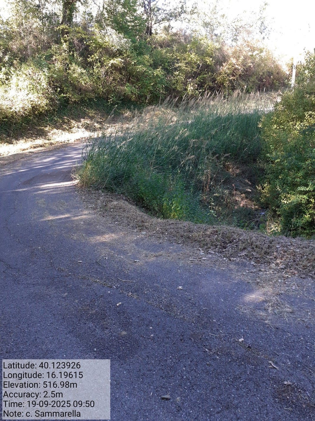 Galleria Fotografica Immagine