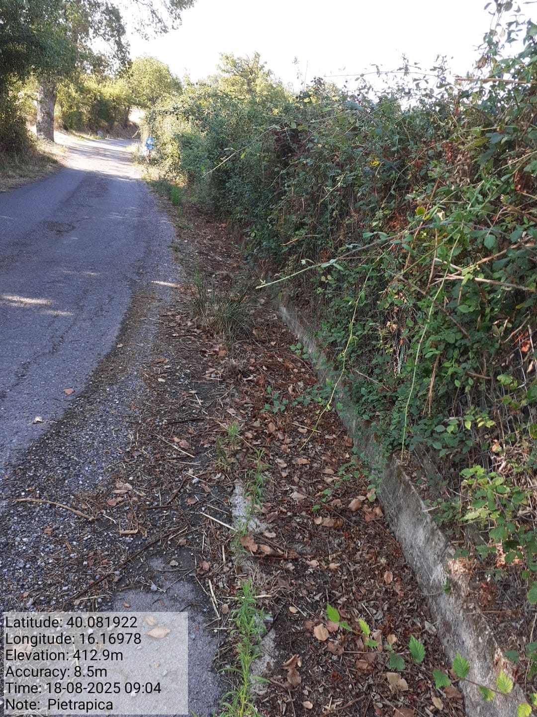 Galleria Fotografica Immagine