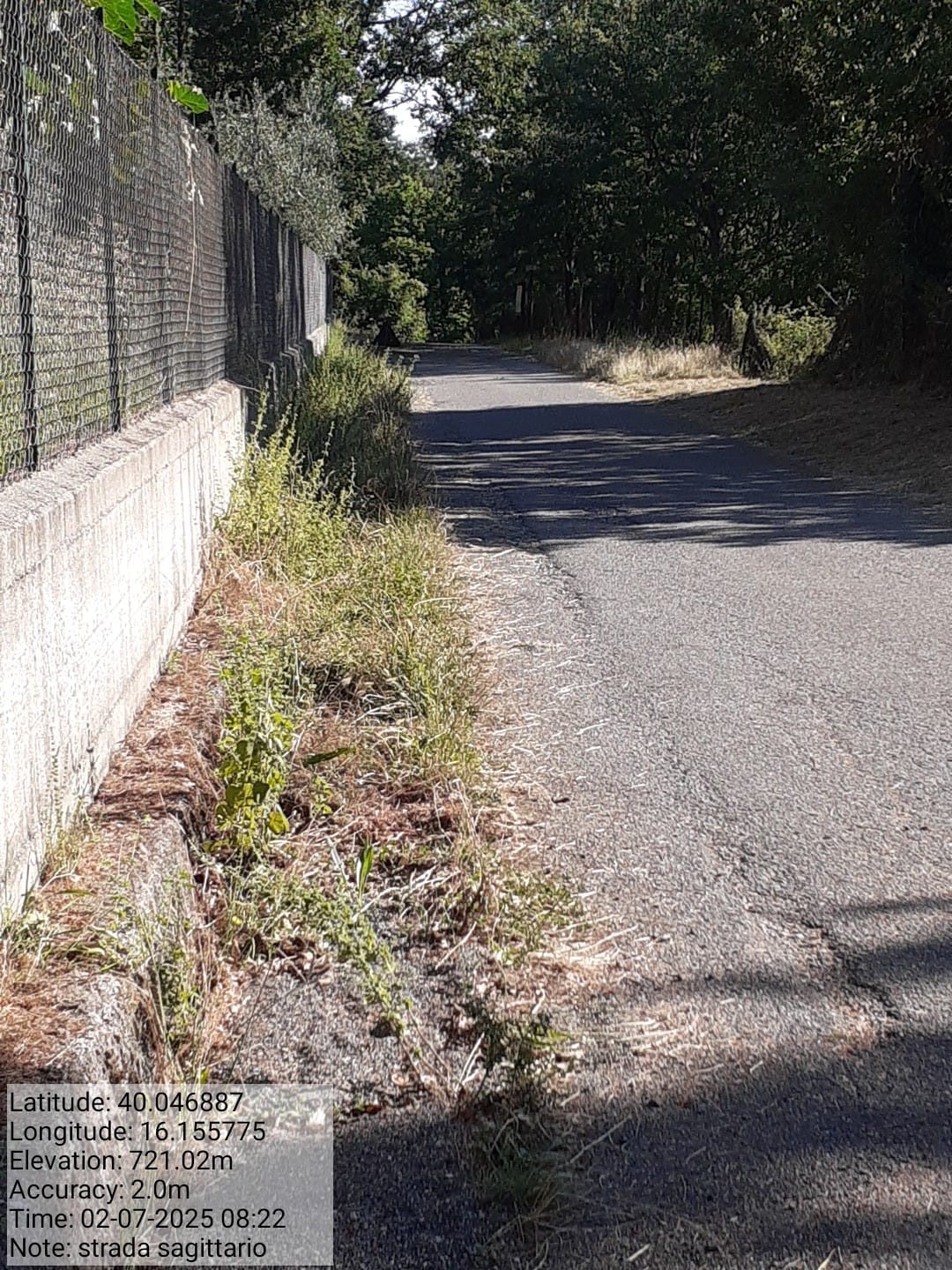 Galleria Fotografica Immagine