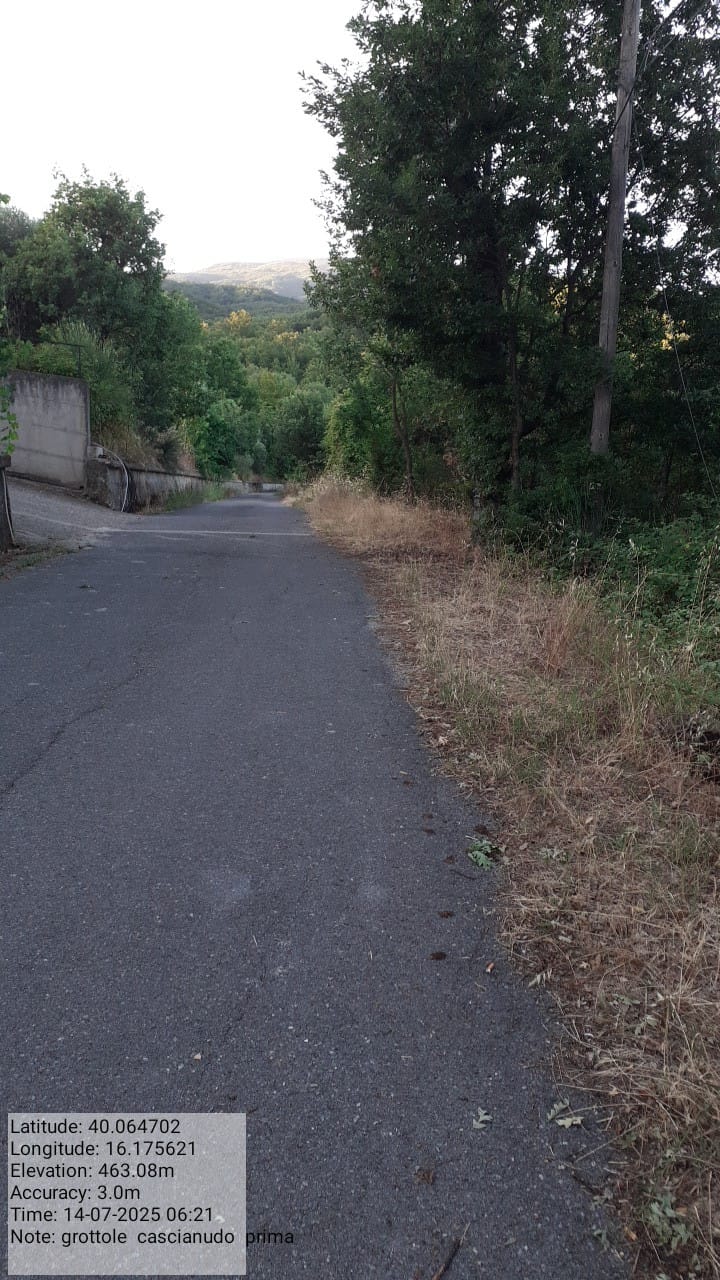 Galleria Fotografica Immagine