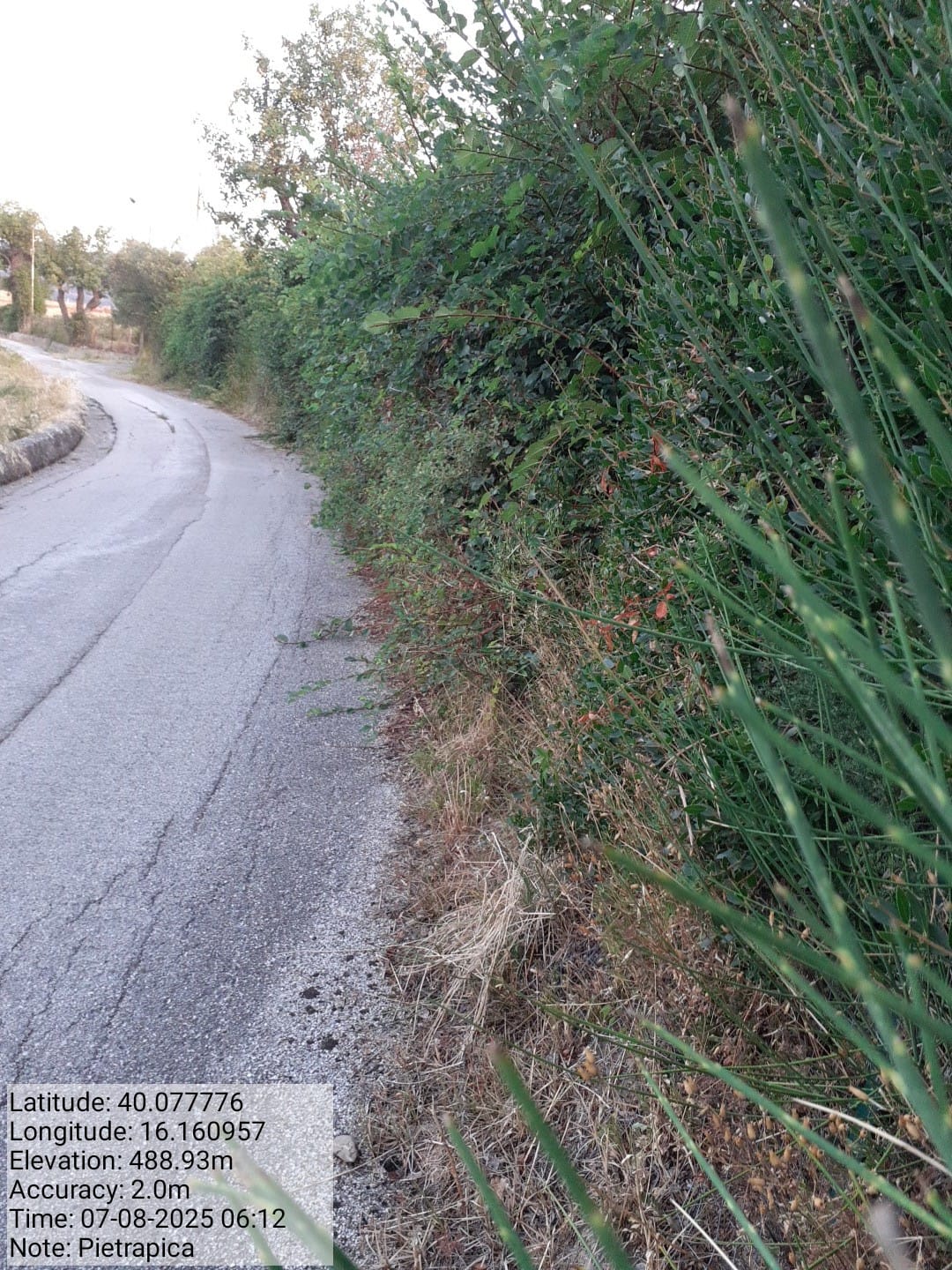 Galleria Fotografica Immagine