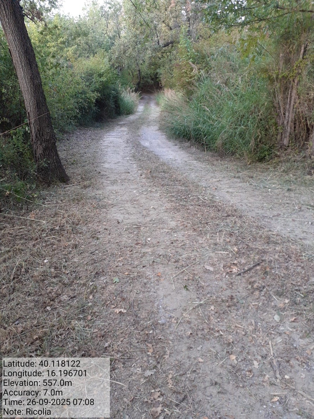 Galleria Fotografica Immagine