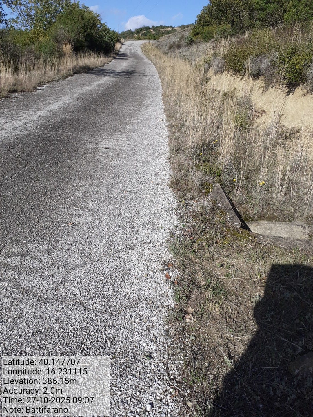 Galleria Fotografica Immagine