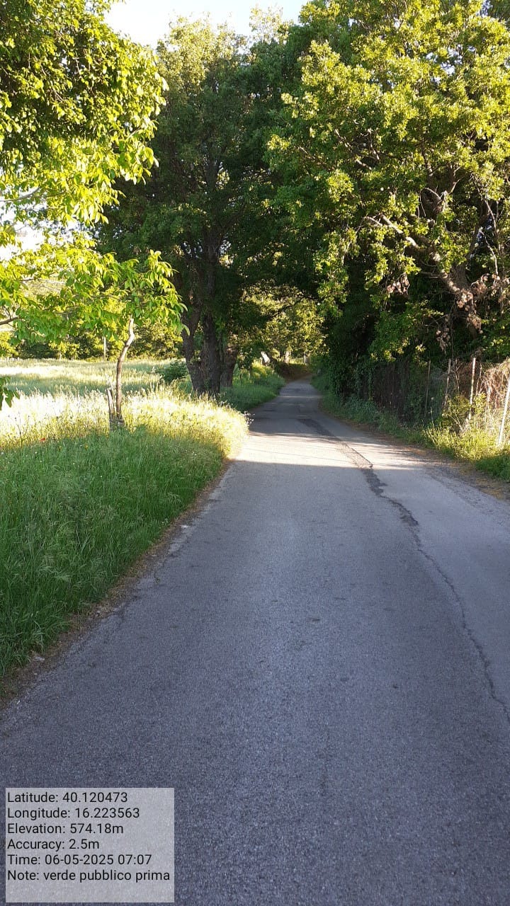 Galleria Fotografica Immagine