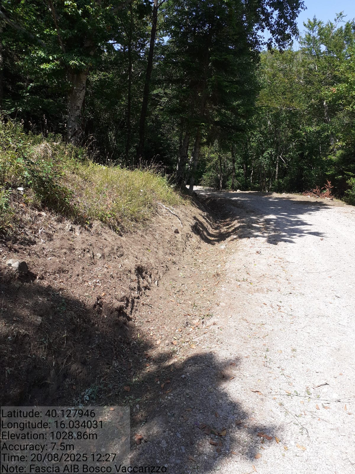 Galleria Fotografica Immagine