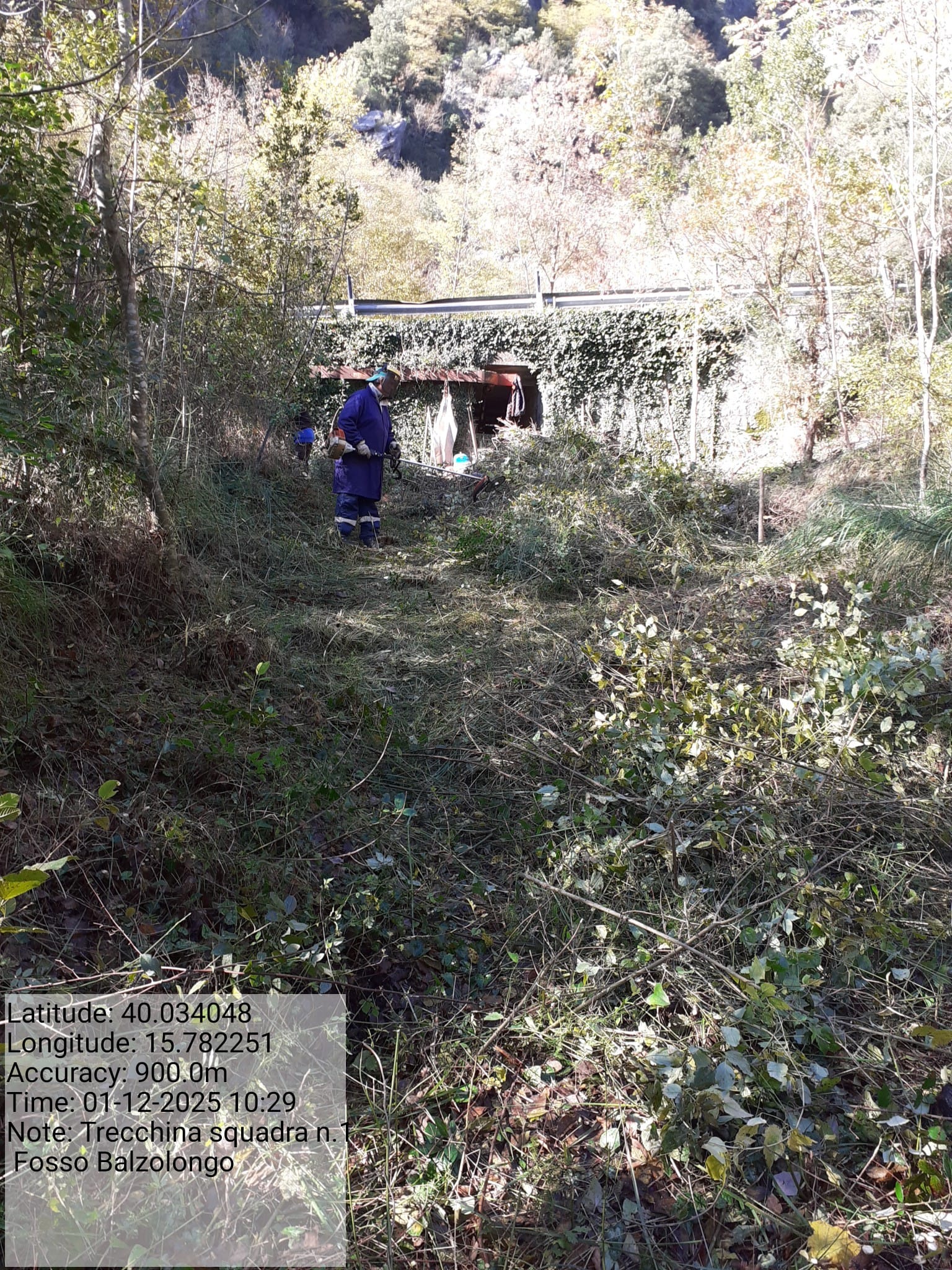 Galleria Fotografica Immagine