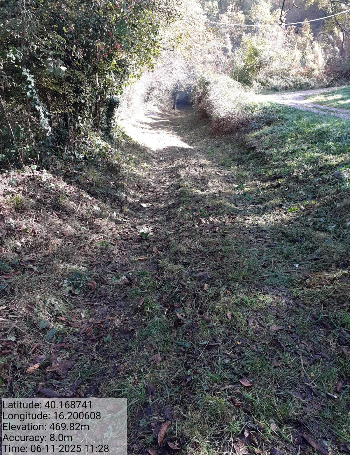 Galleria Fotografica Immagine