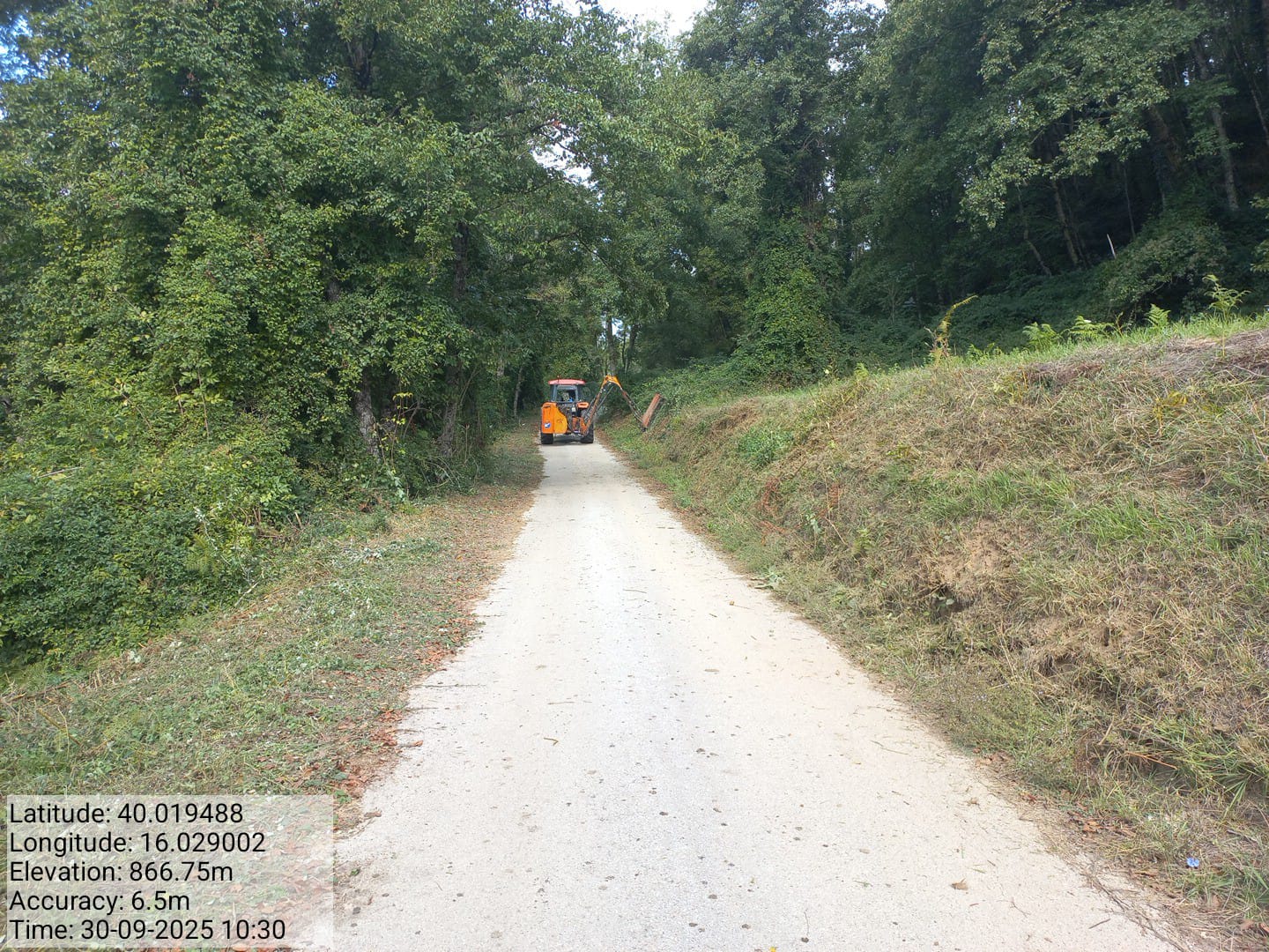 Galleria Fotografica Immagine