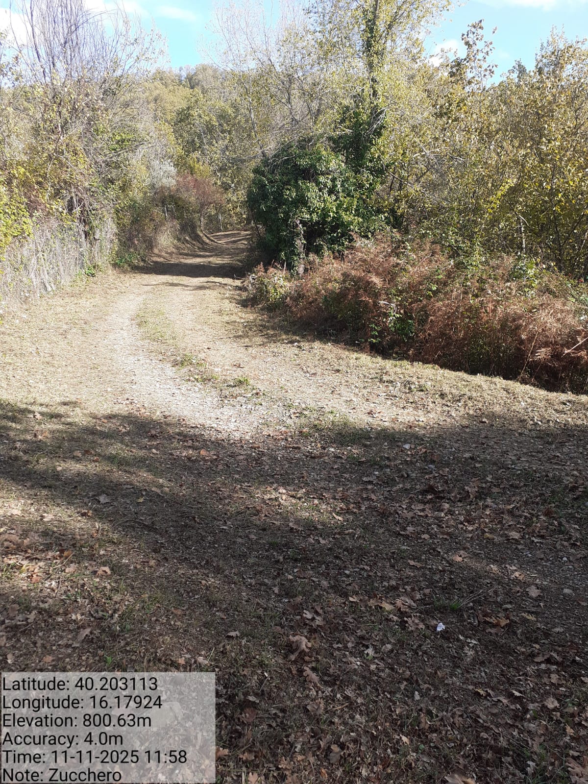 Galleria Fotografica Immagine