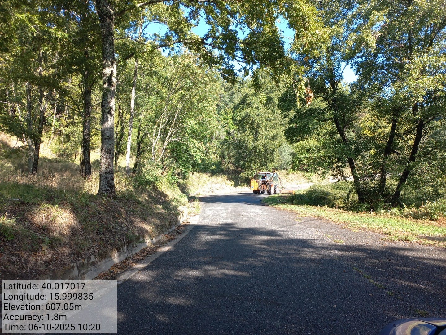 Galleria Fotografica Immagine