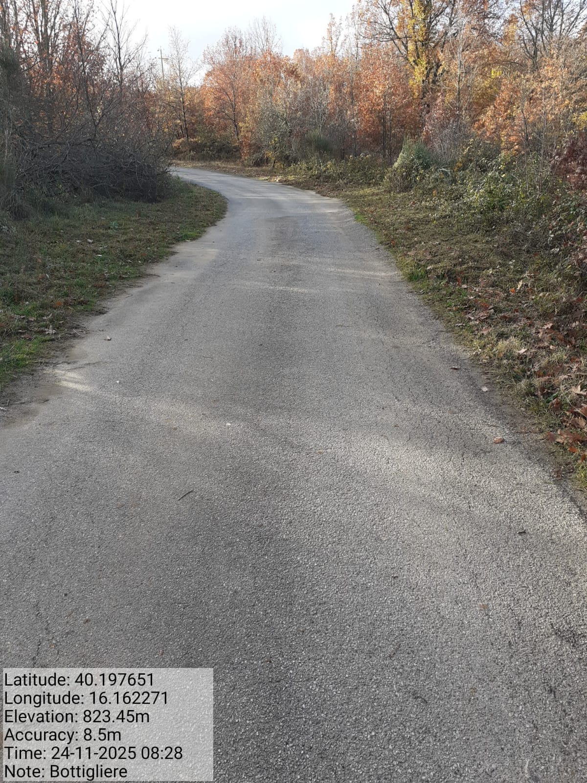 Galleria Fotografica Immagine