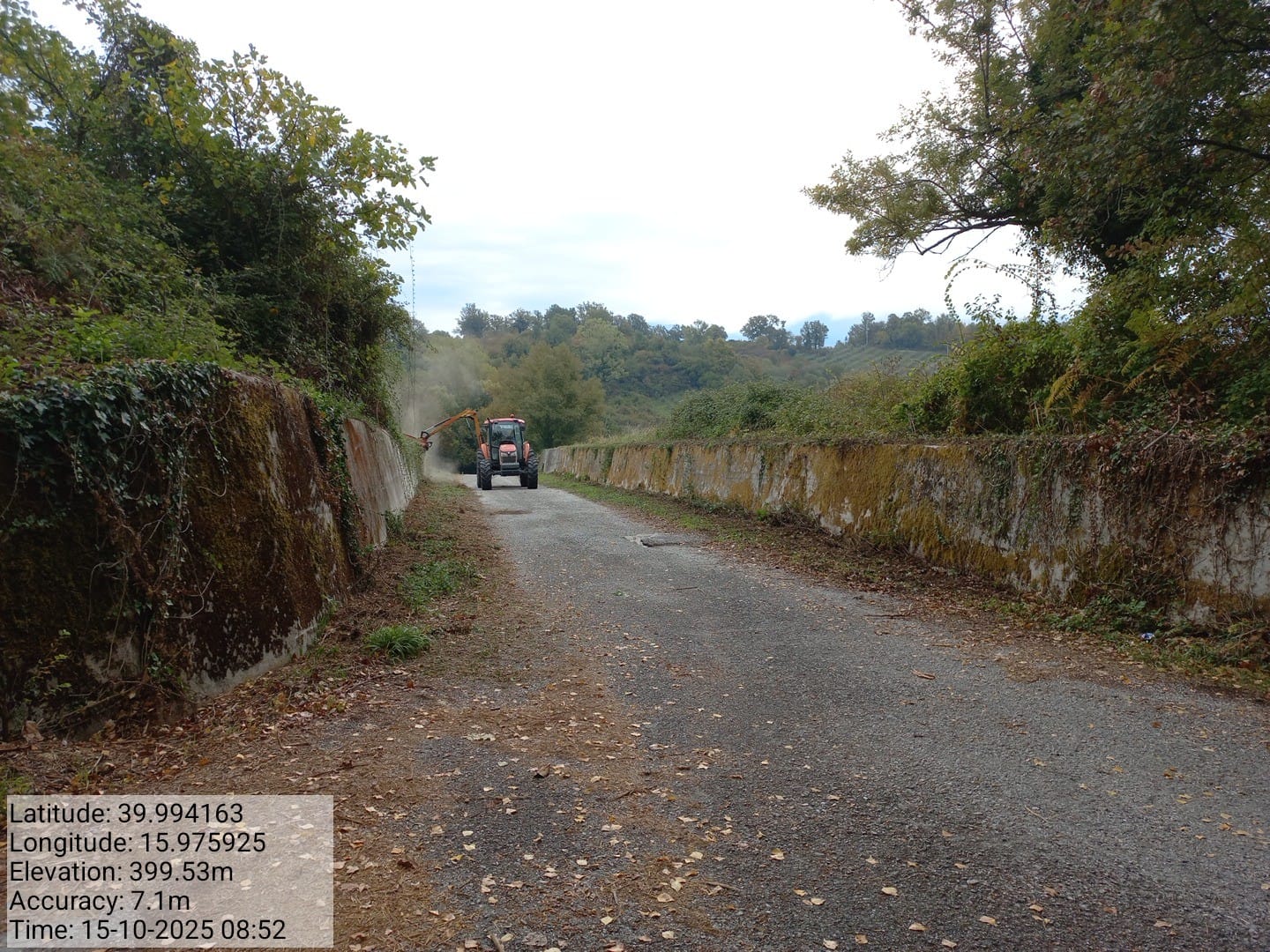 Galleria Fotografica Immagine