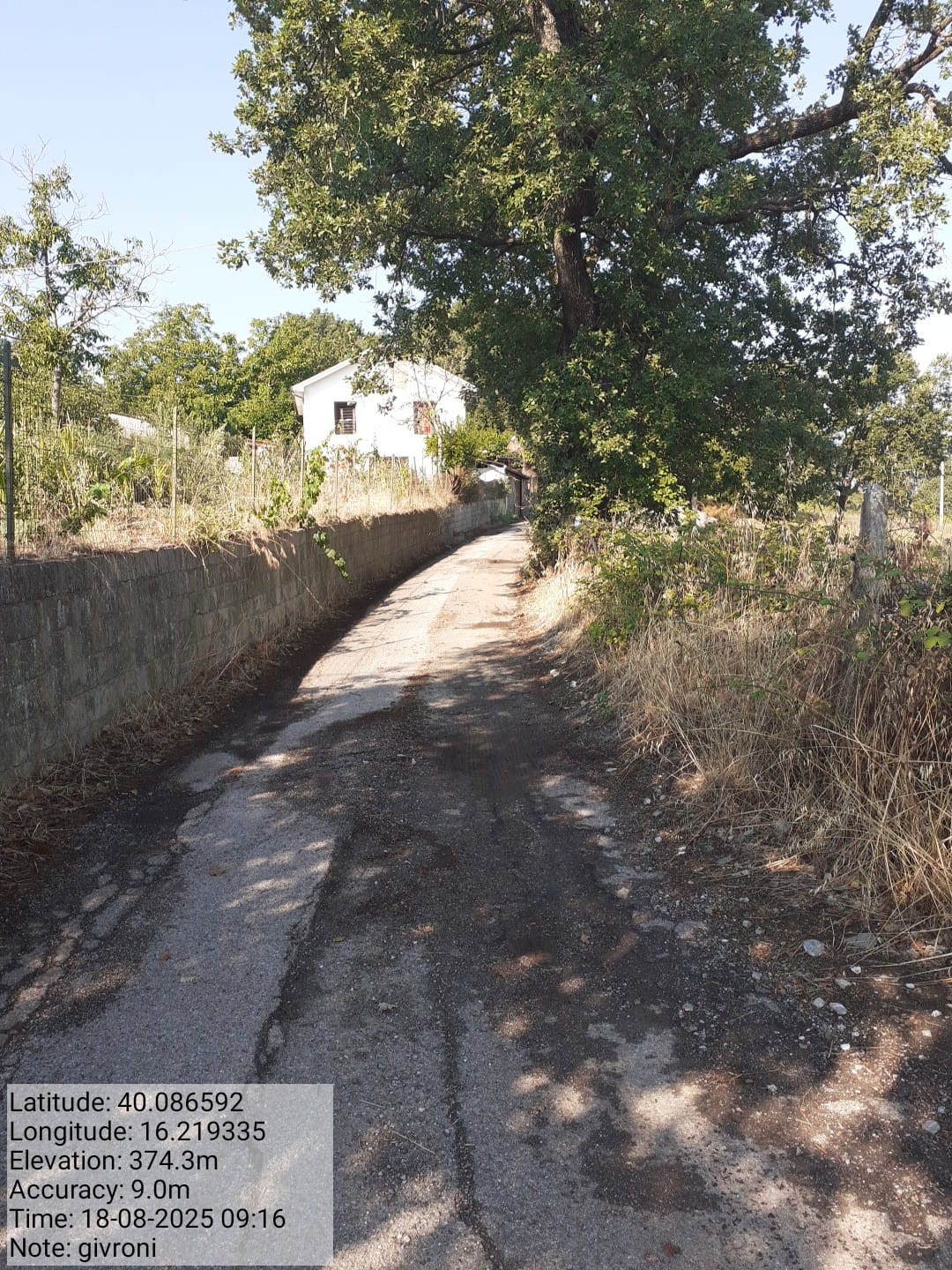 Galleria Fotografica Immagine