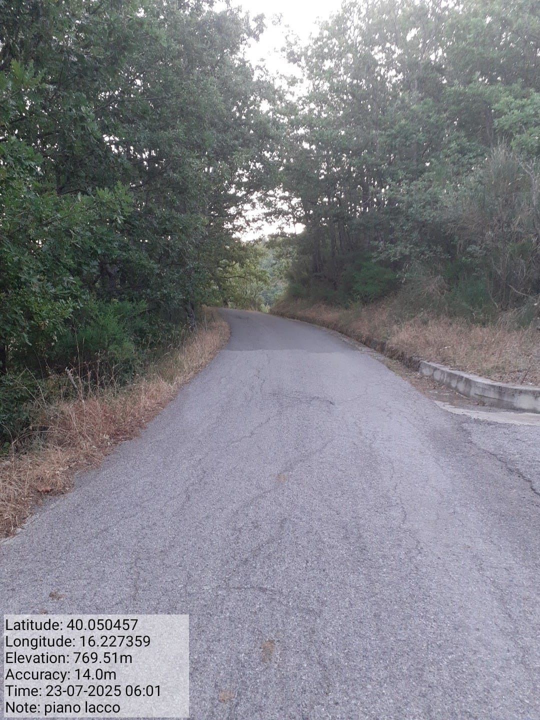 Galleria Fotografica Immagine