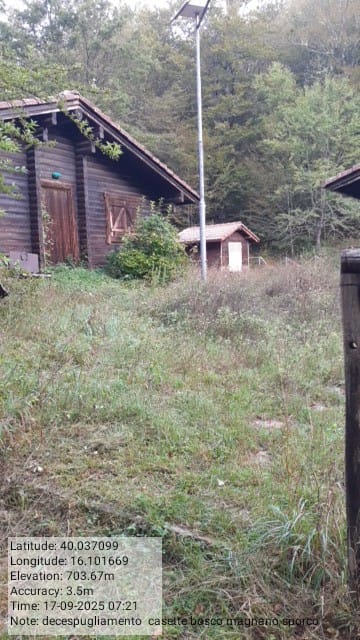 Galleria Fotografica Immagine