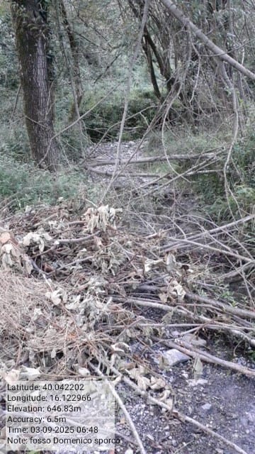 Galleria Fotografica Immagine